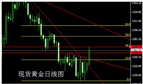 熔断机制再次被触发 国际黄金拉开暴涨序幕