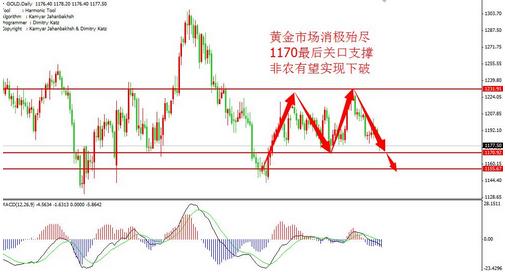 黄金价格追赶式下跌 可能会出现新低点